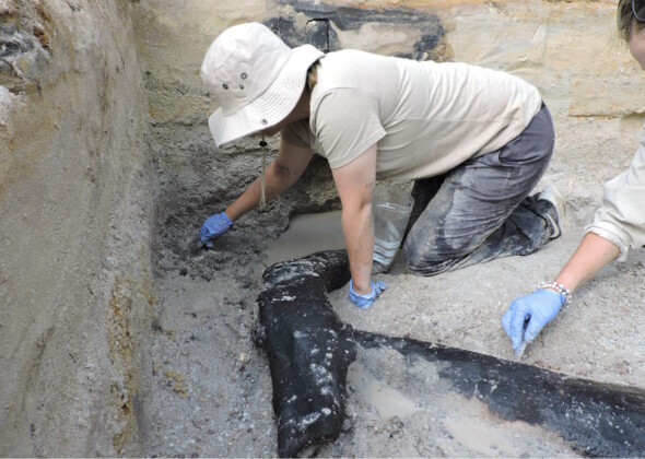 Se trata de la primera prueba en el mundo de la fabricación deliberada de troncos para encajarlos. Hasta ahora, las pruebas del uso humano de la madera se limitaban a su empleo para hacer fuego, cortar palos para cualquier uso y fabricar lanzas.