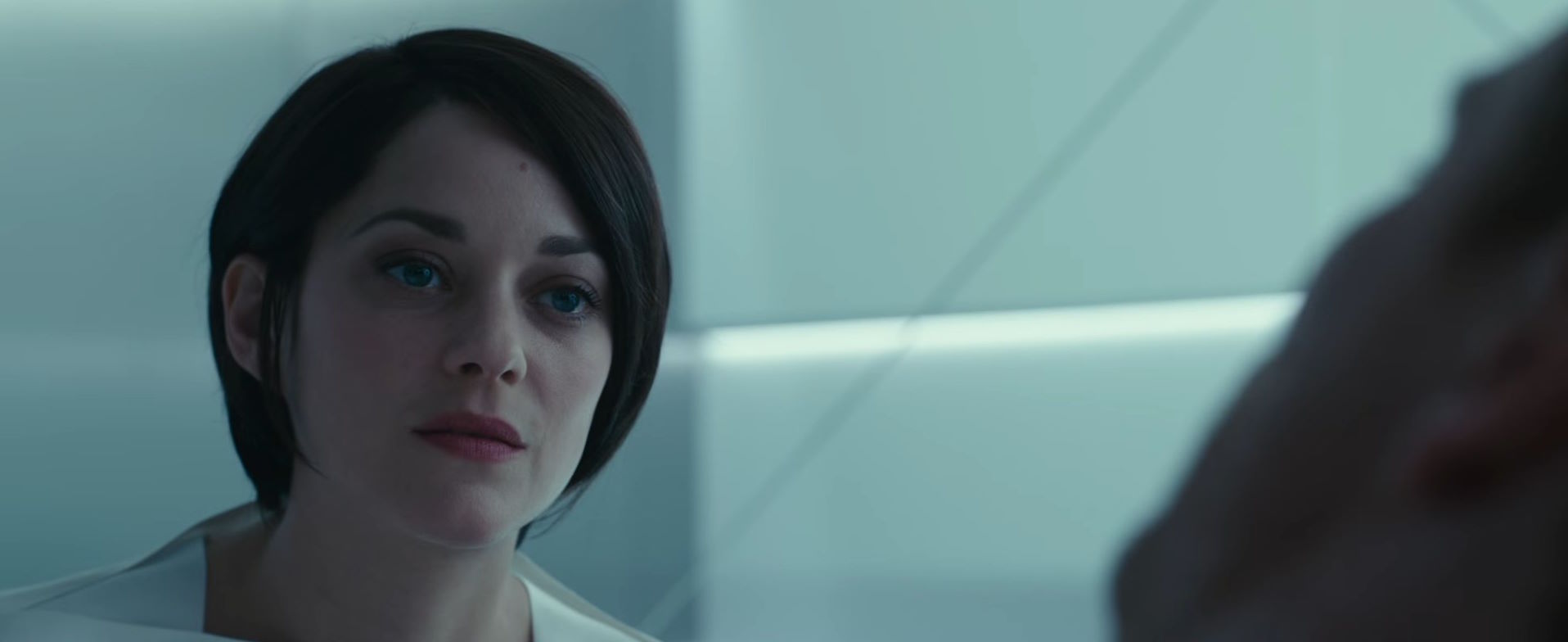 Marion Cotillard, interpretando a Sophia Rikkin, aporta poco a la película. Como científica e hija del CEO de la empresa Abstergo Industries, Cotillard entregó una actuación que equilibraba la frialdad científica con un subyacente conflicto moral pero cayendo más bien del lado de la frialdad y sin crear ninguna tensión con el protagonista.