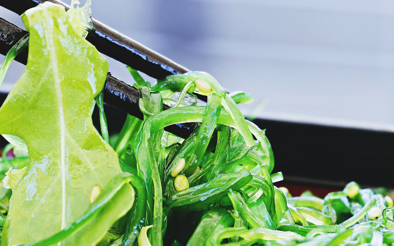 Las algas marinas, como nori, wakame, y kombu, son ingredientes esenciales en la cocina japonesa, cada una aportando sus propias texturas y sabores únicos. Nori se utiliza para envolver sushi, wakame se añade a sopas y ensaladas, y kombu se usa para hacer dashi, el caldo base para muchas sopas y salsas japonesas. Estas algas son valoradas por su sabor umami y sus beneficios nutricionales.