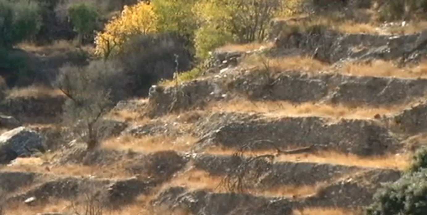 Bancales abandonados en la Alpujarra