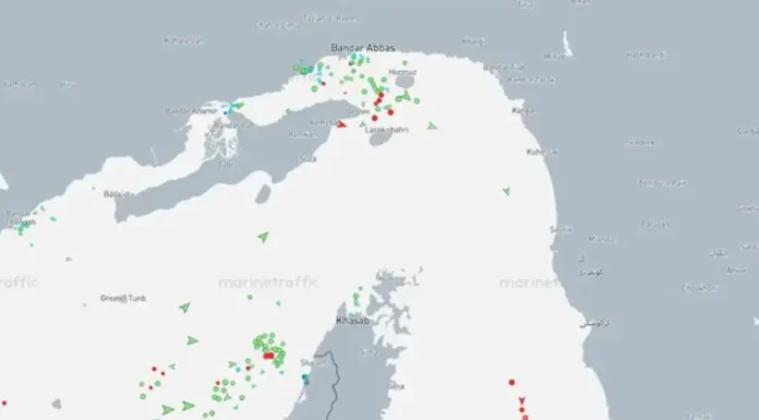 Captura de pantalla de Marinetraffic donde se ve que el tráfico en el Estrecho de Ormuz ha desparecido