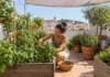 Adaptar el huerto al clima